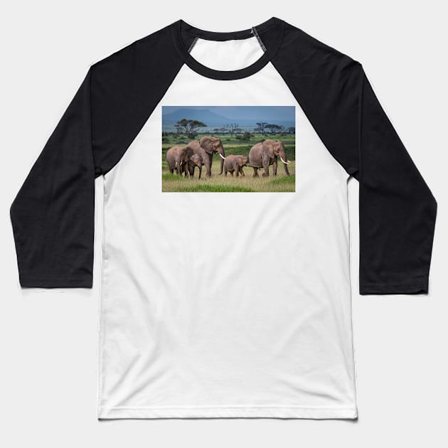 Amboseli National Park Baseball T-Shirt by bkbuckley